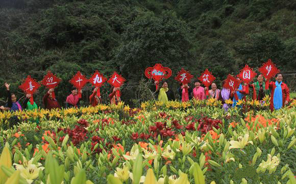 大批赏花游客畅游景区